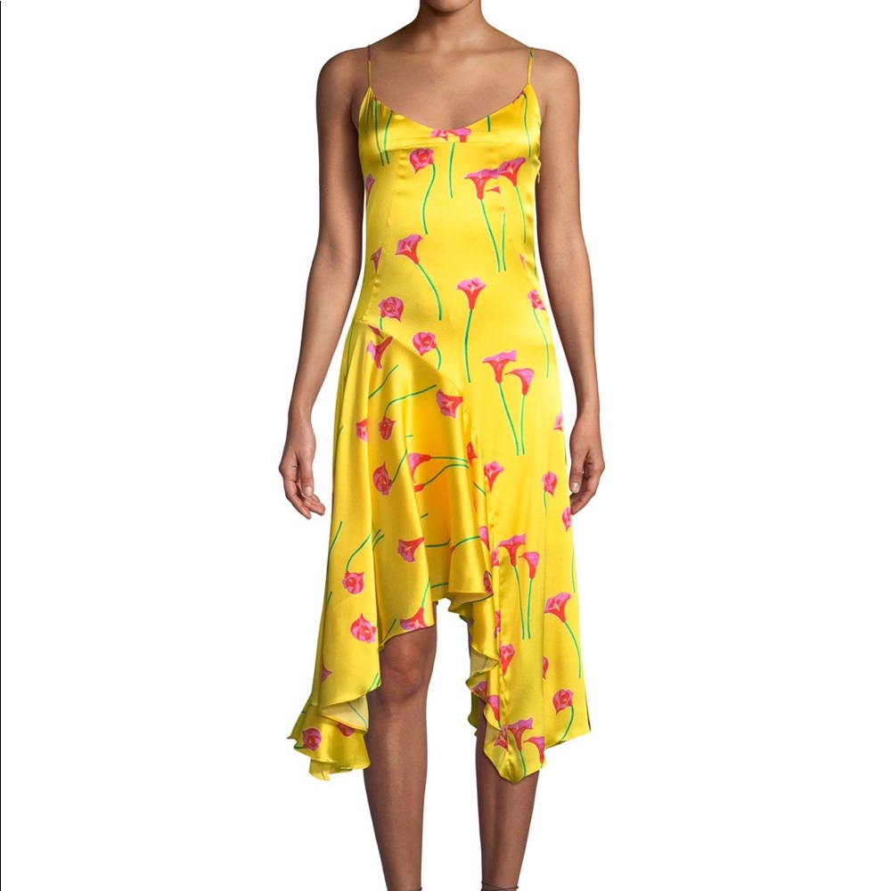 Caroline Constas Marie Silk Slip Dress Medium
